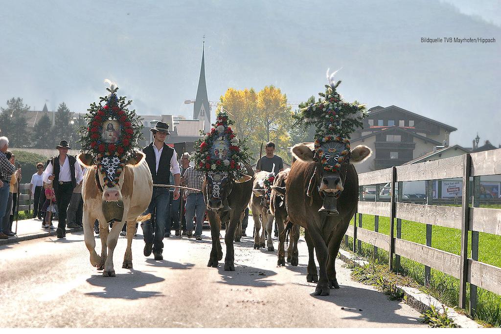 Haus Gaisberger Lägenhet Mayrhofen Exteriör bild